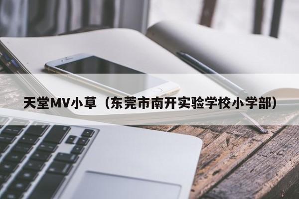 天堂MV小草（东莞市南开实验学校小学部）