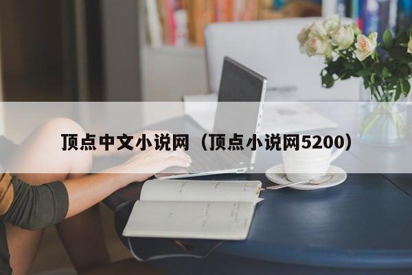 顶点中文小说网（顶点小说网5200）